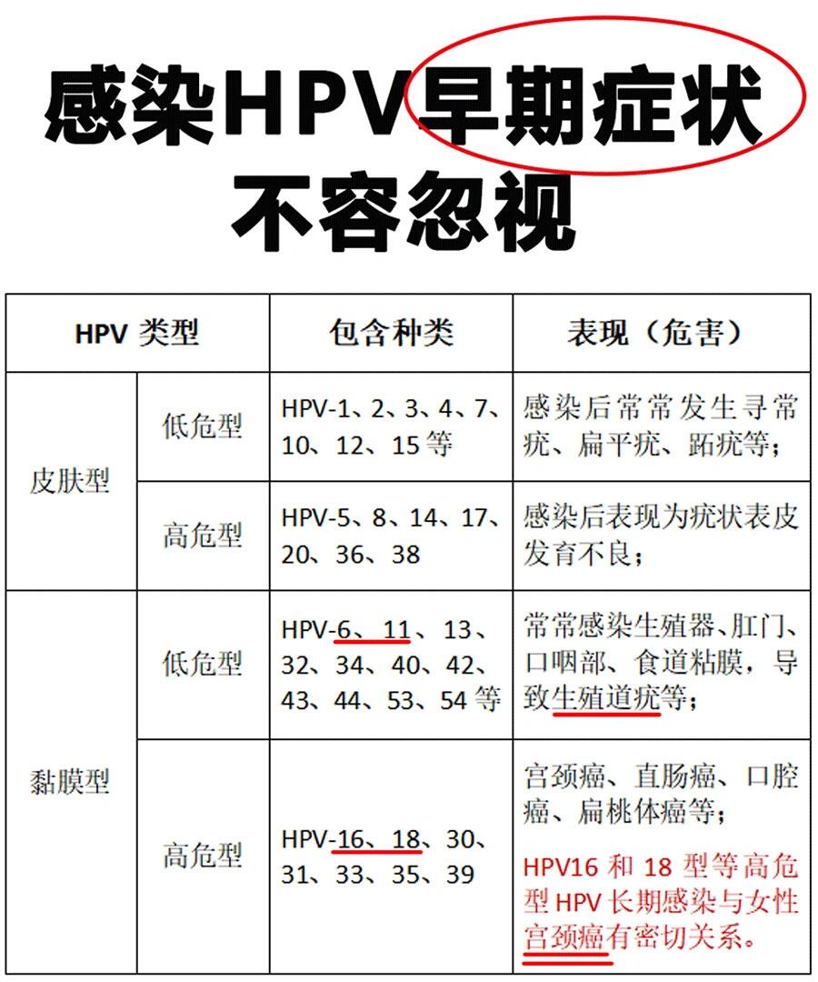 hpv感染原因图片