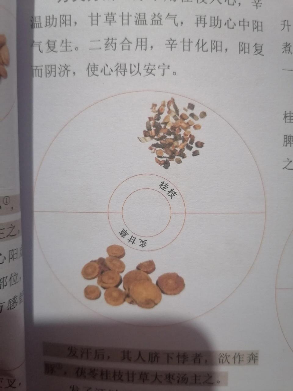 我爱学中医 桂枝甘草汤 桂枝12克,炙甘草6克 主治 补心气,温心阳;治