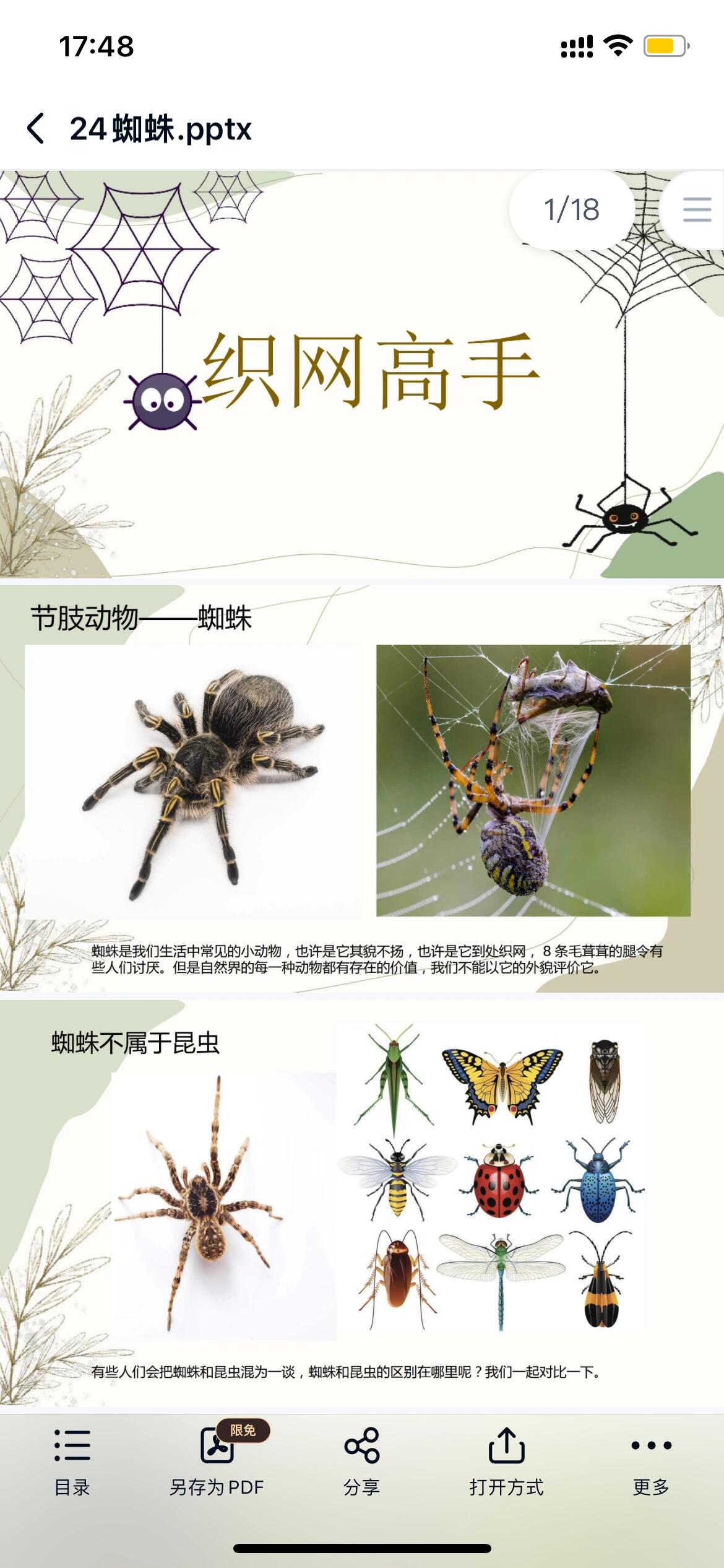 蜘蛛不属于昆虫,蜘蛛的特征,蜘蛛的螯牙