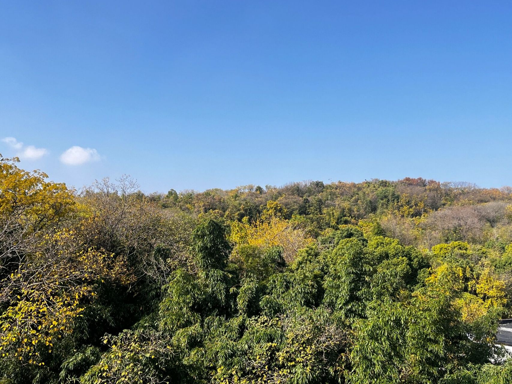 镇江天气 | 最后一周温暖天气啦,要好好珍惜 雨过天晴,天空湛蓝湛蓝的