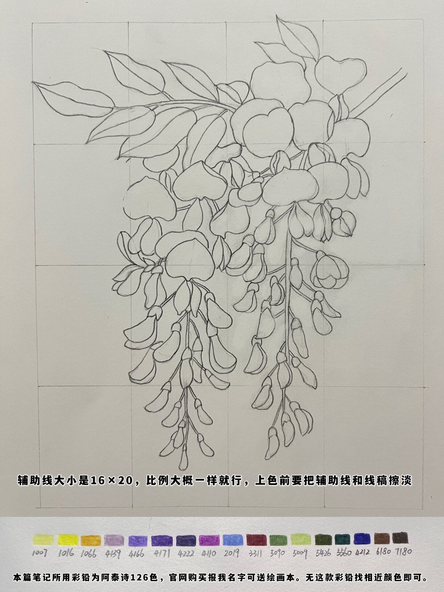 彩铅花卉——紫藤花,附步骤图
