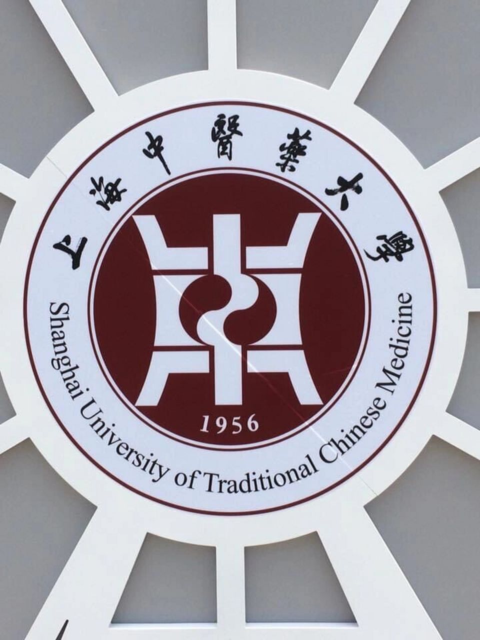 上海中醫藥大學 在上海中醫藥大學博物館裡