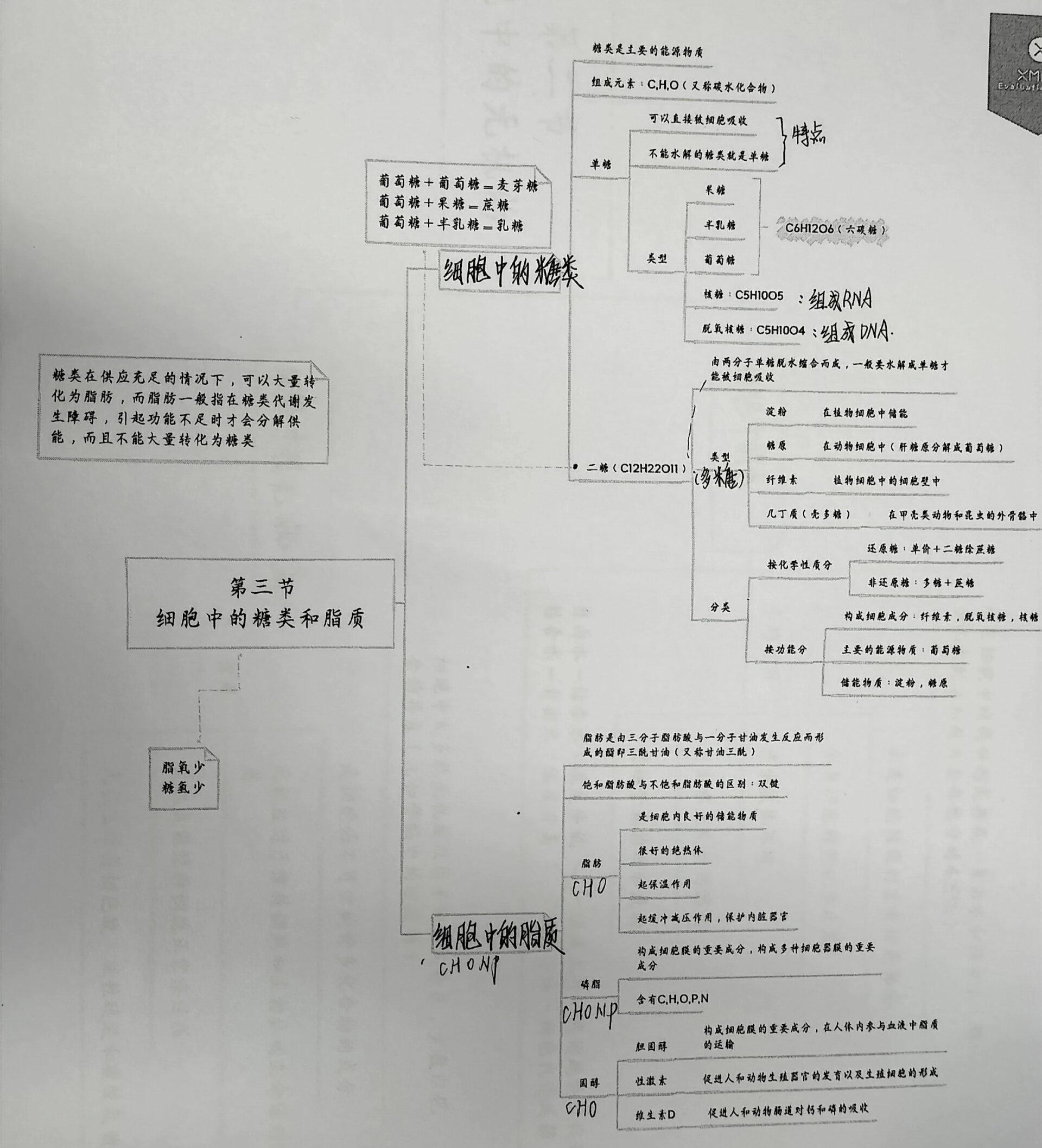 高一生物第二章思维导图人教版