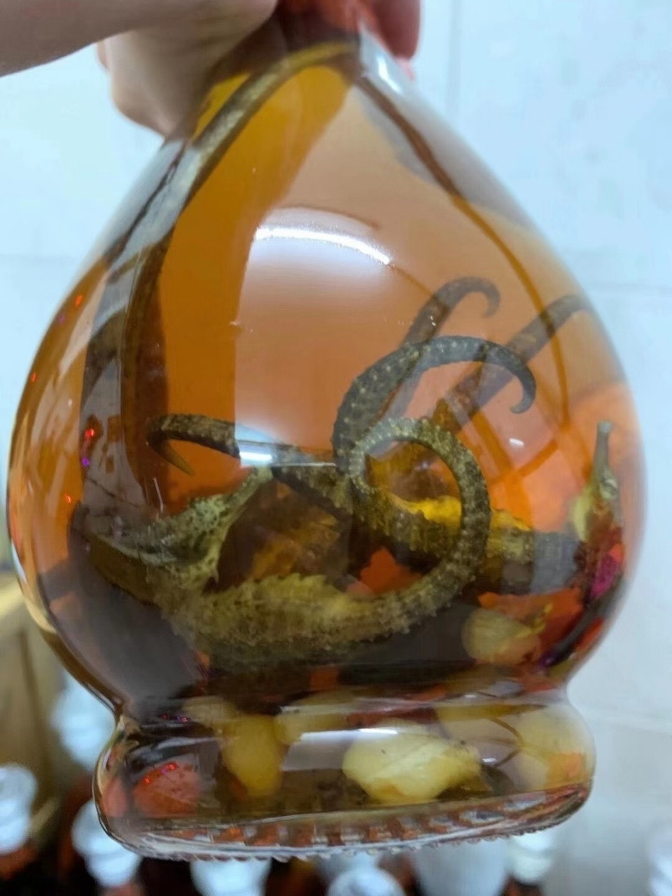 可以泡酒,煲汤,壮阳补肾,强身健体.