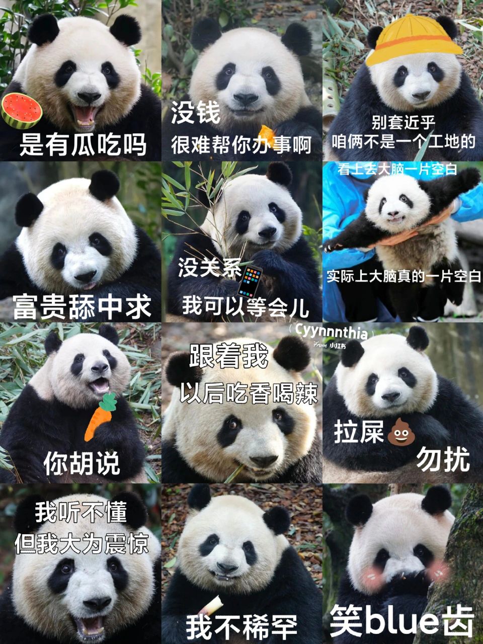 用梅兰肉肉94做的表情包自用 表情包自制自用 300斤"梅菜扣肉"驾到