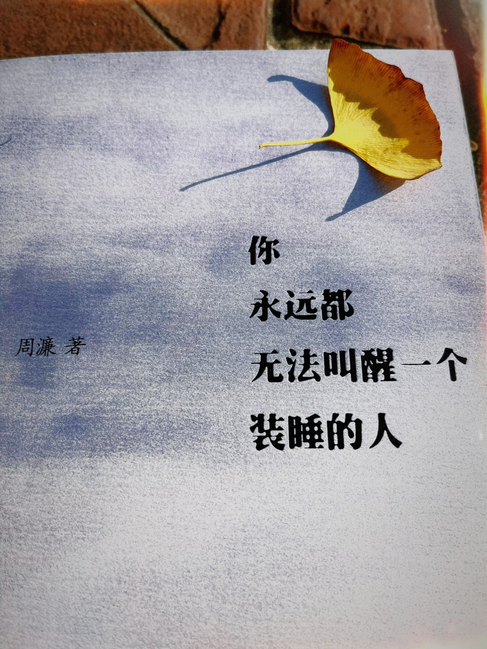 90"你永远都无法叫醒一个装睡的人" "你永远都无法叫醒一个装睡的人