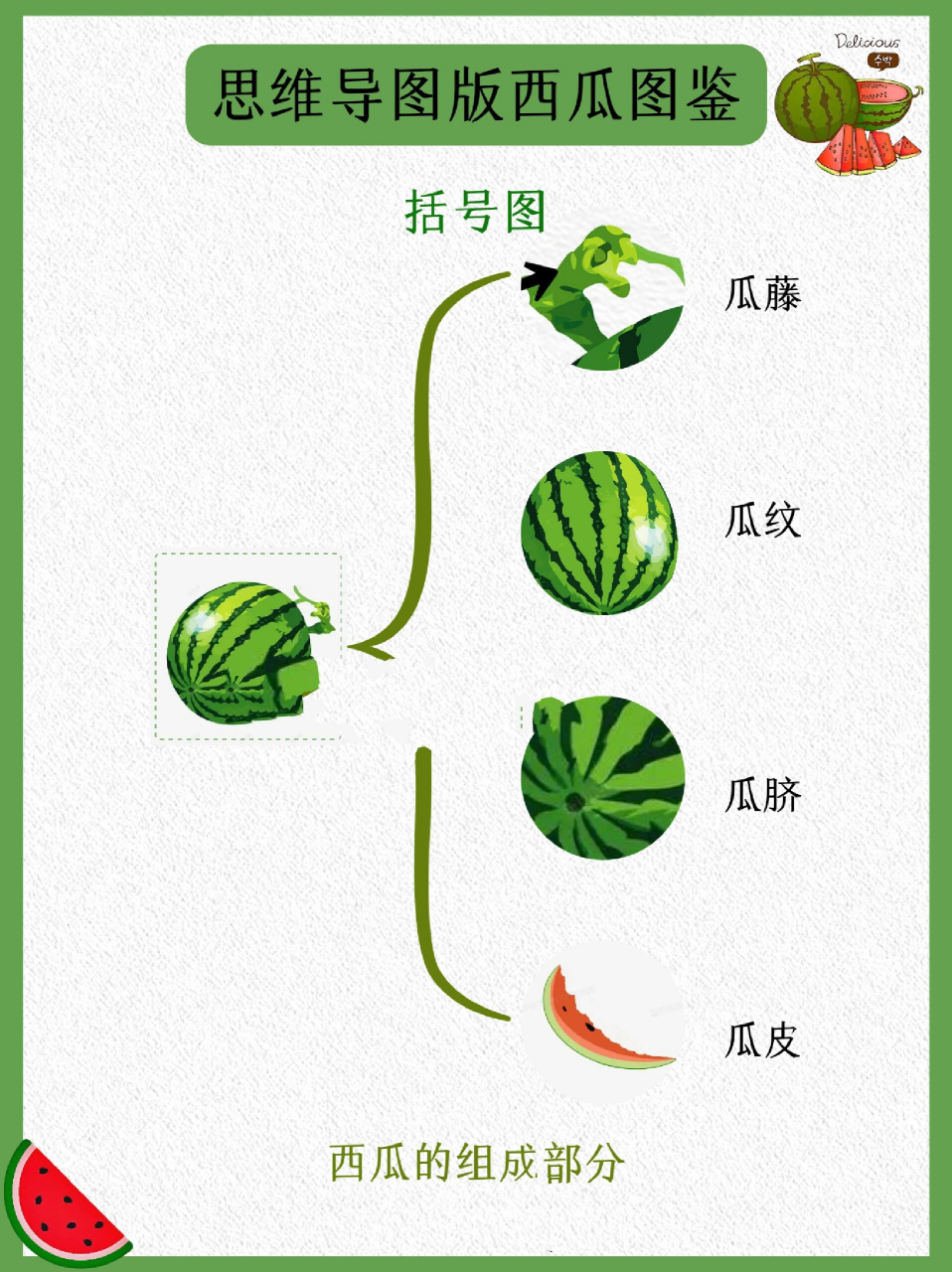 种植西瓜思维导图图片