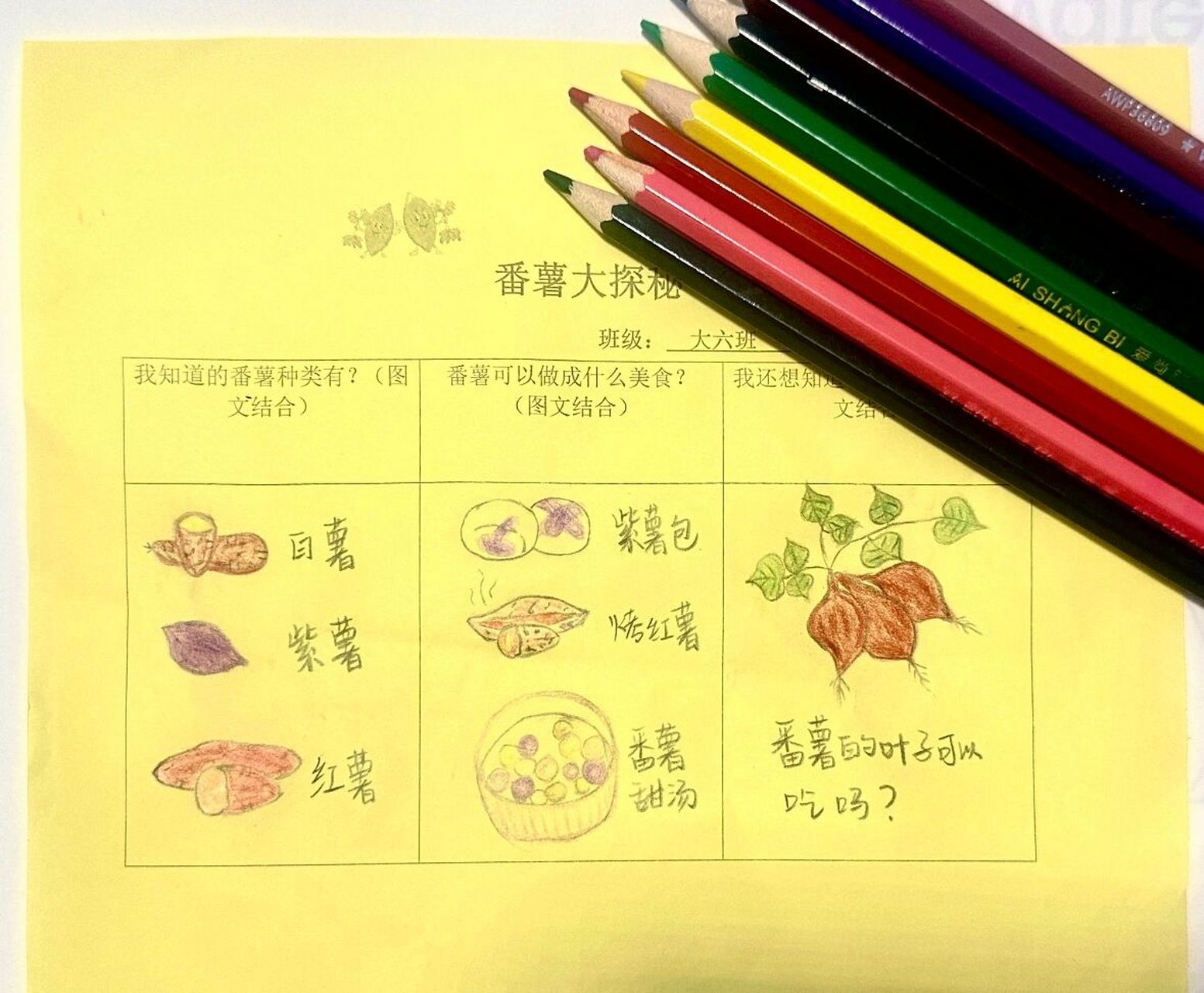 幼儿园番薯大探秘 幼儿园作业又来啦,快来抄作业!