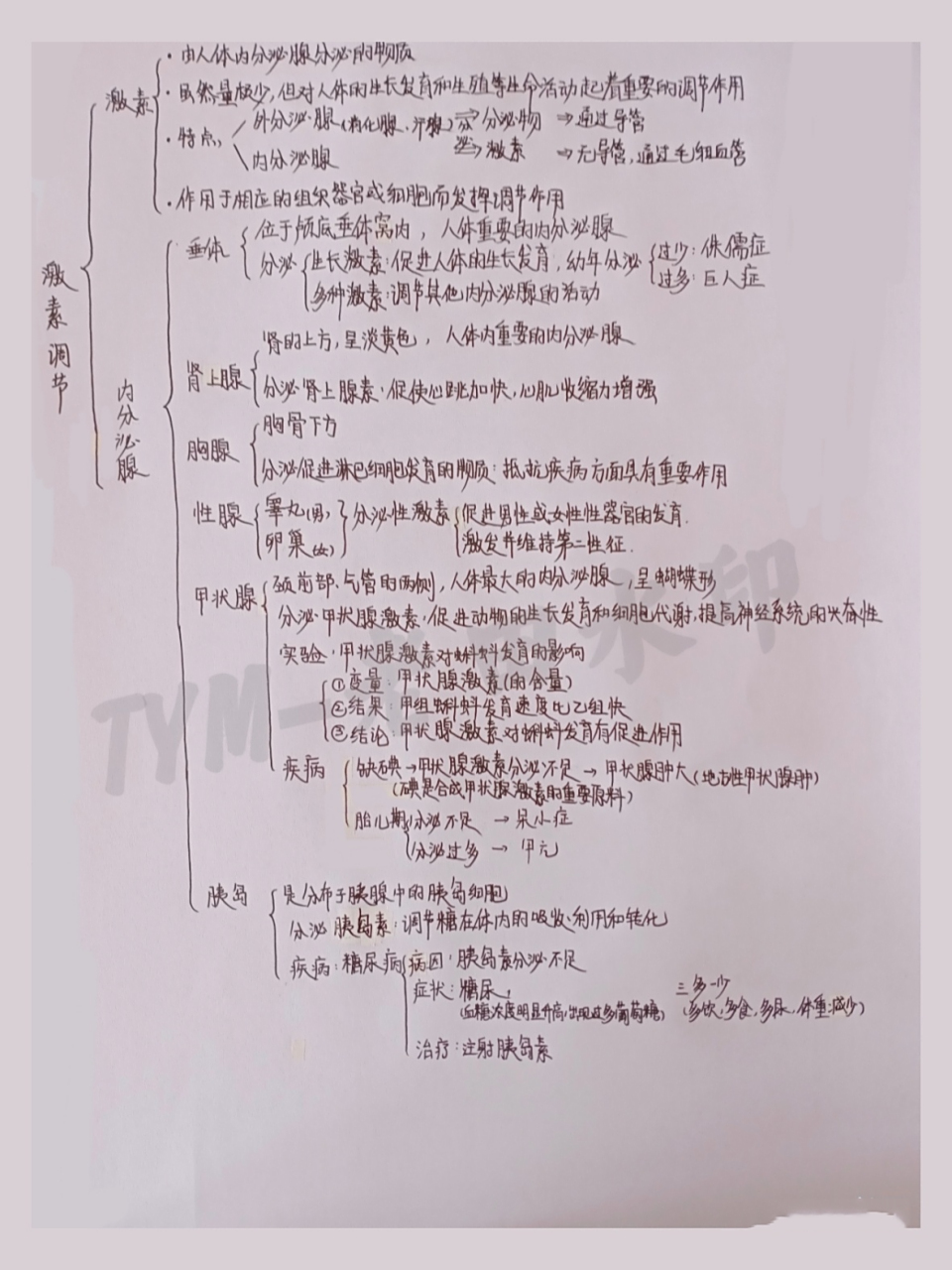 七下生物思维导图《激素调节》 七下生物苏教版思维导图《激素调节》