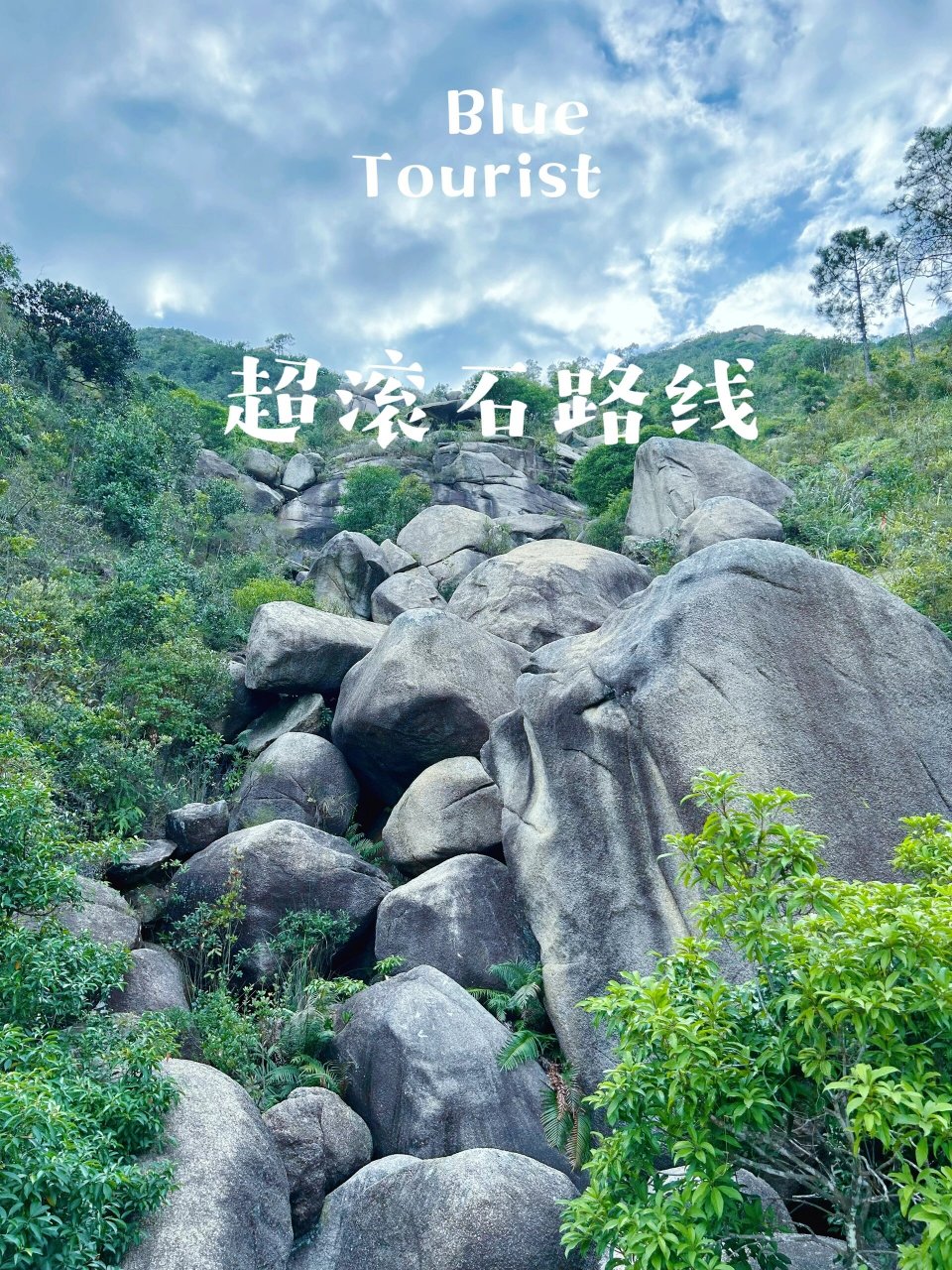 山顶可以俯瞰"日月贝"珠海大剧院,以及一路海岸线,风景是足可称道