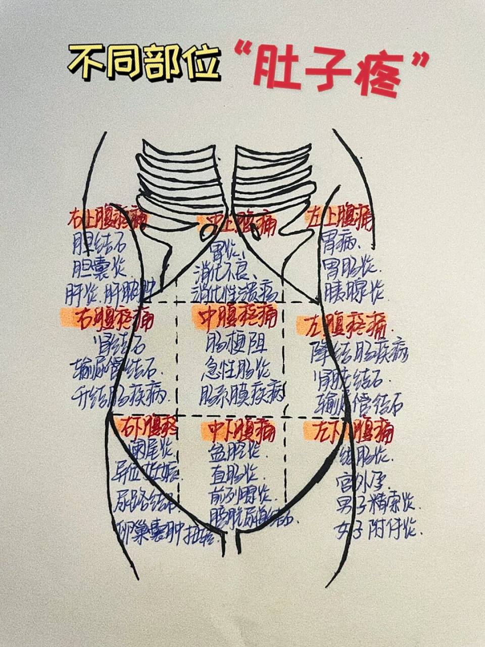 "肚子疼"什么原因6015 16615右上腹部: 肝脏,胆囊等 如果右上