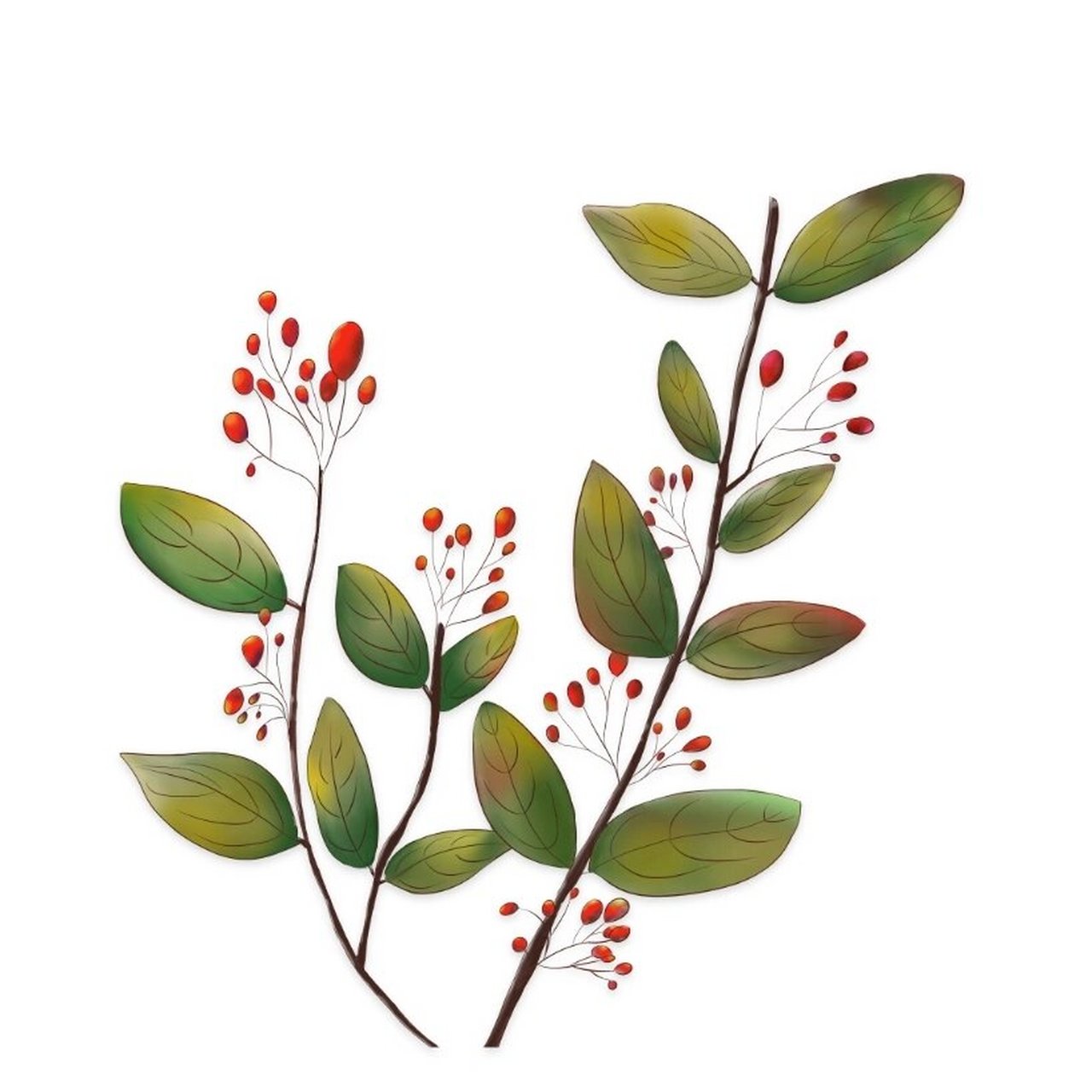 重阳茱萸枝  | 免抠素材Ⅸ 重阳佳节,登高,身佩茱萸,与亲人团聚 传说