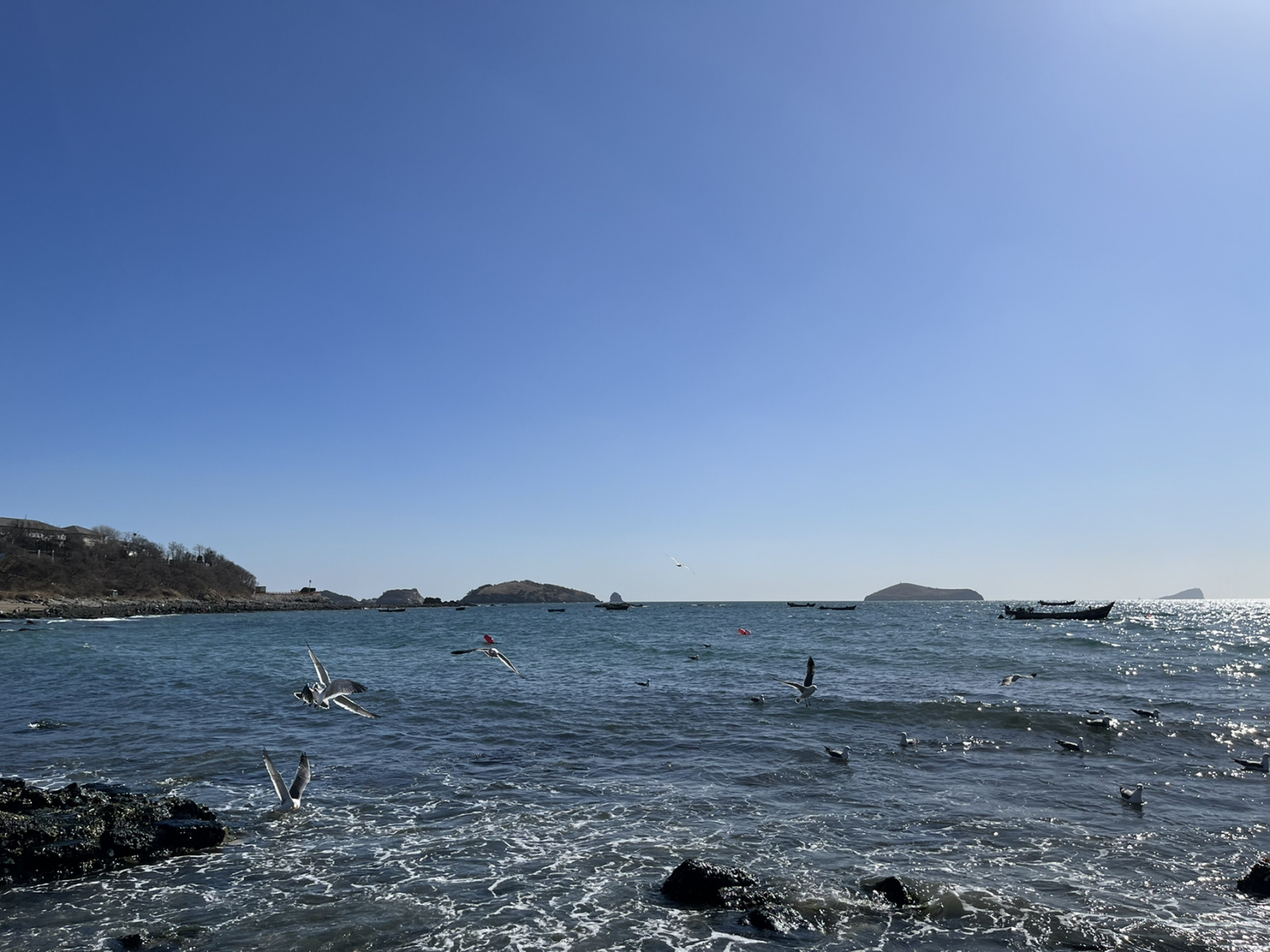 大连周末去哪玩-银沙滩公园 96地点:大连银沙滩公园 78在傅家庄