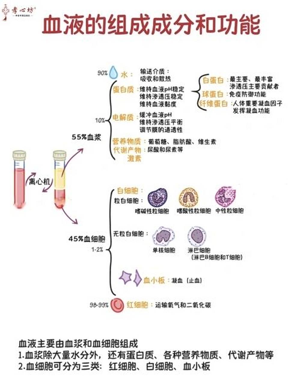 还是看病都经常做血常规检查 71但你们知道血液的组成成分和功能吗?