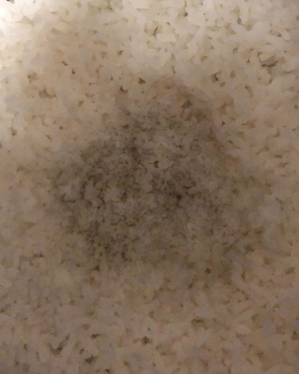 煮好的米饭中间发黑 有人也遇到过这样的情况吗?