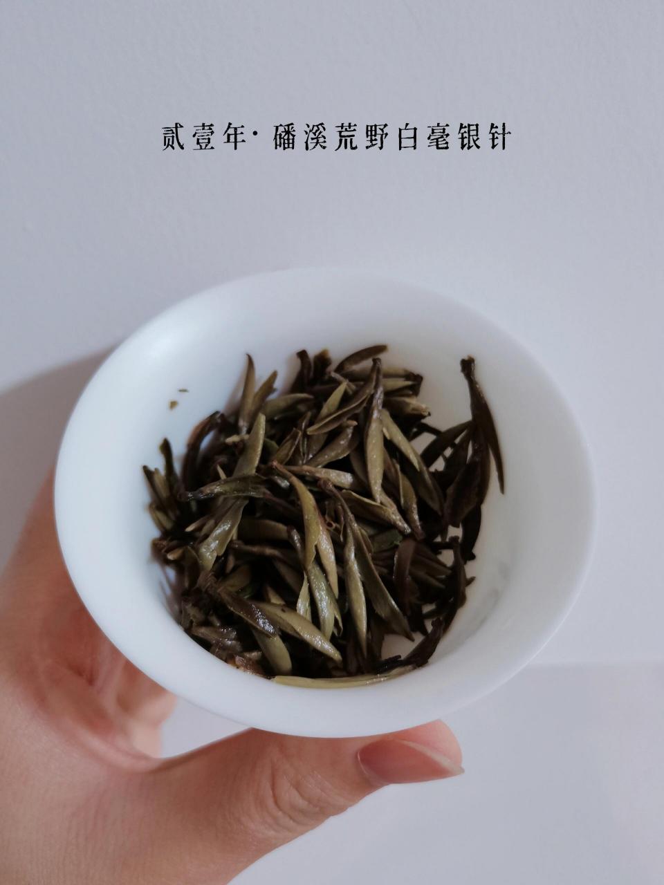 茶客心头宝·磻溪荒野白毫银针 说起白茶,很多人认知的就是太姥山