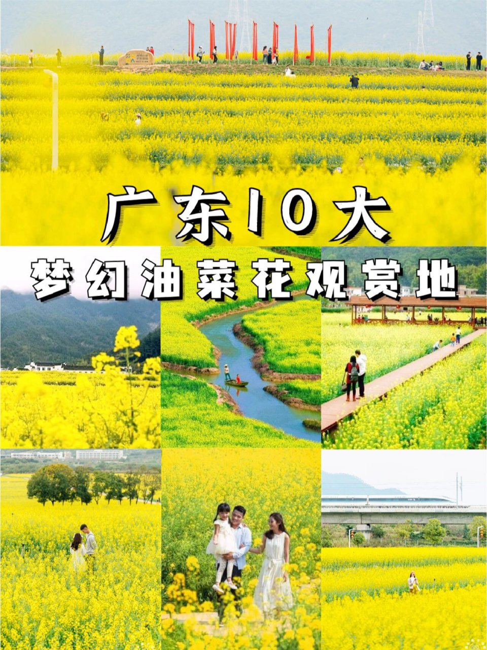 广州红山村油菜花图片