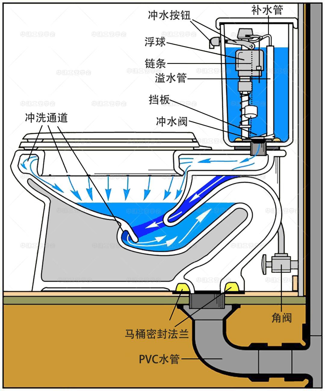 虹吸式坐便器剖面展示