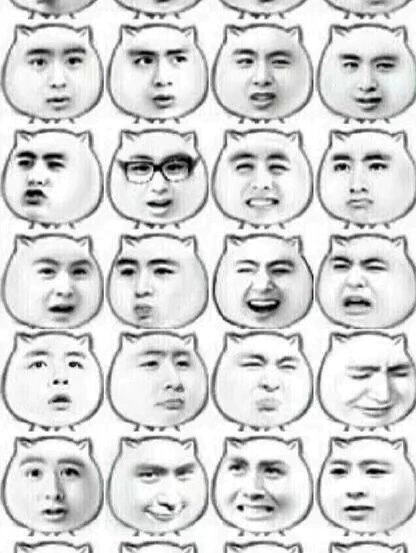 尼坤表情包大全 哈哈哈哈我困困也是表情包大户