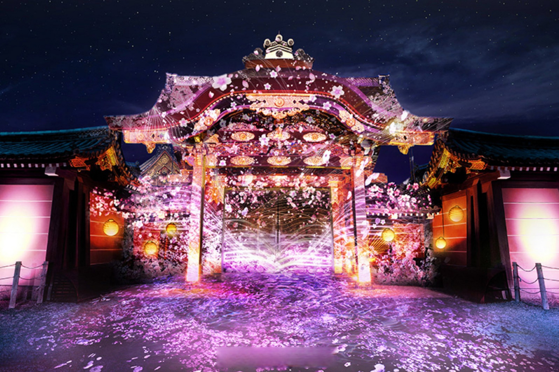 京都的樱花季,除了白天看樱花外,夜樱也非常值得一看.