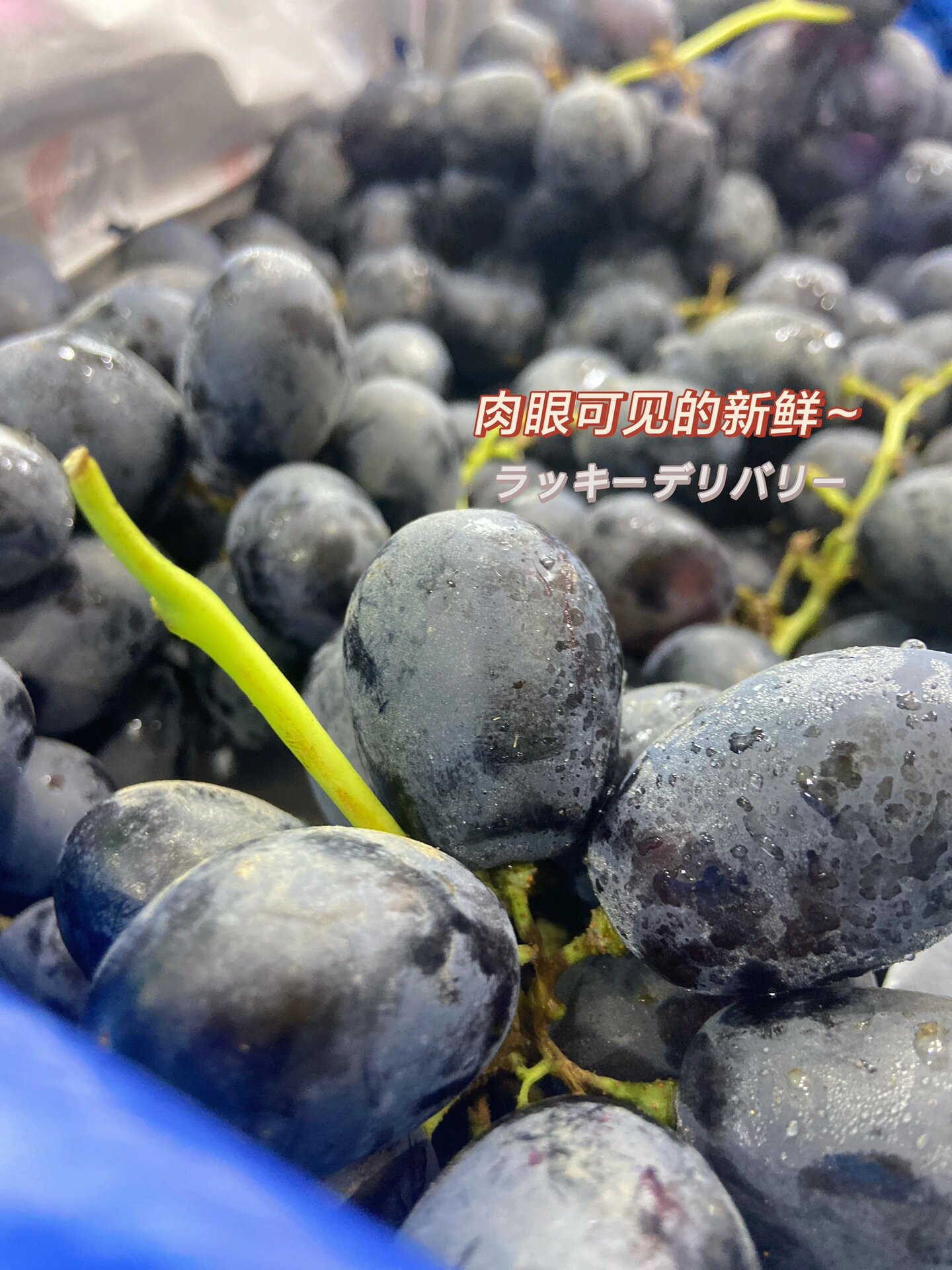 黑加仑葡萄文案 "东方黑珍珠"～🍇黑加仑葡萄 综合了提子和葡萄的