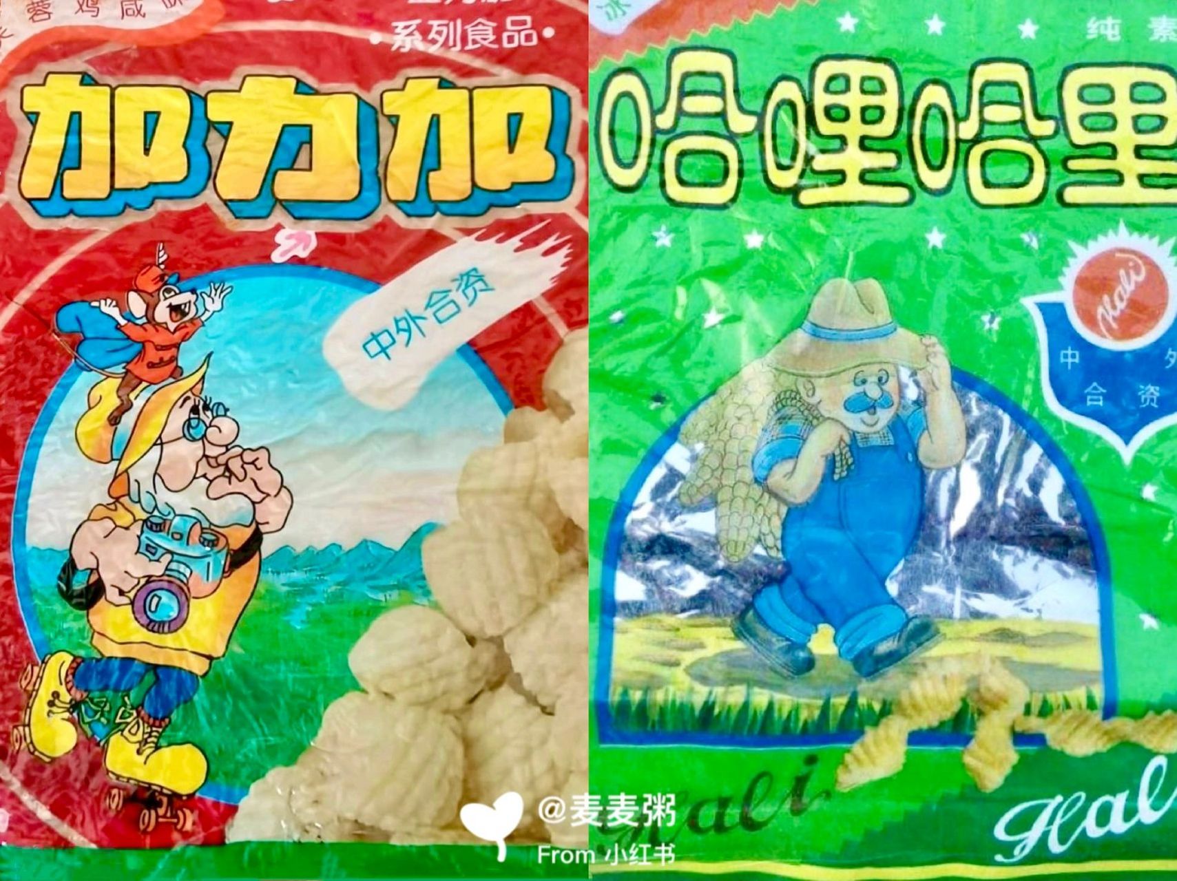 小时候的初代膨化零食～谁的dna动了 哈哩哈里和加力加绝对是90年代小