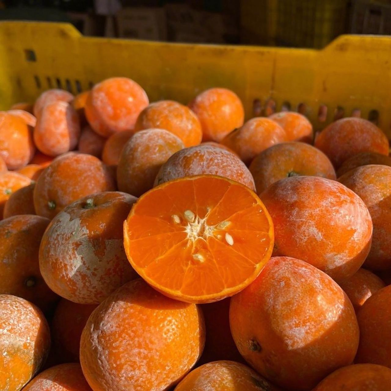 广西武鸣茂谷柑 脏脏柑 甜蜜浓郁 皮薄香浓 【推荐理由】精选优质柑子