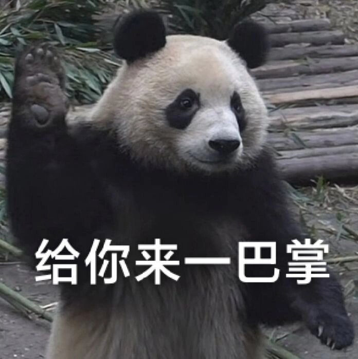 来一波熊猫表情包