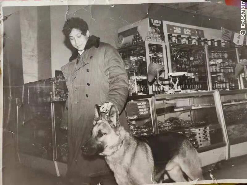 老版平背德牧 (可能会被喷或者被屏蔽)用事实来说话,难到上世纪国外有