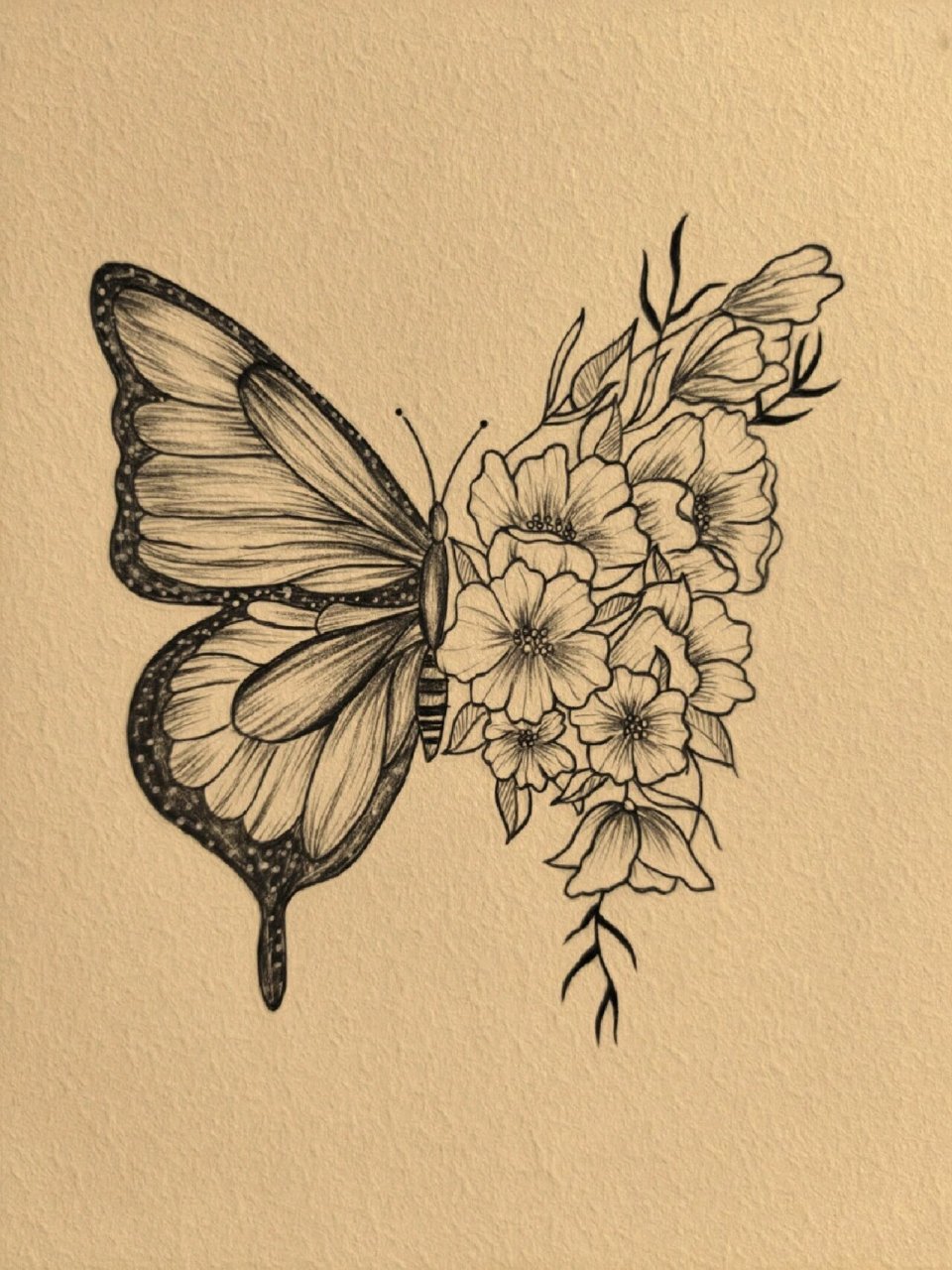 手绘蝴蝶🦋 #纹身# #手绘临摹# #蝴蝶纹身