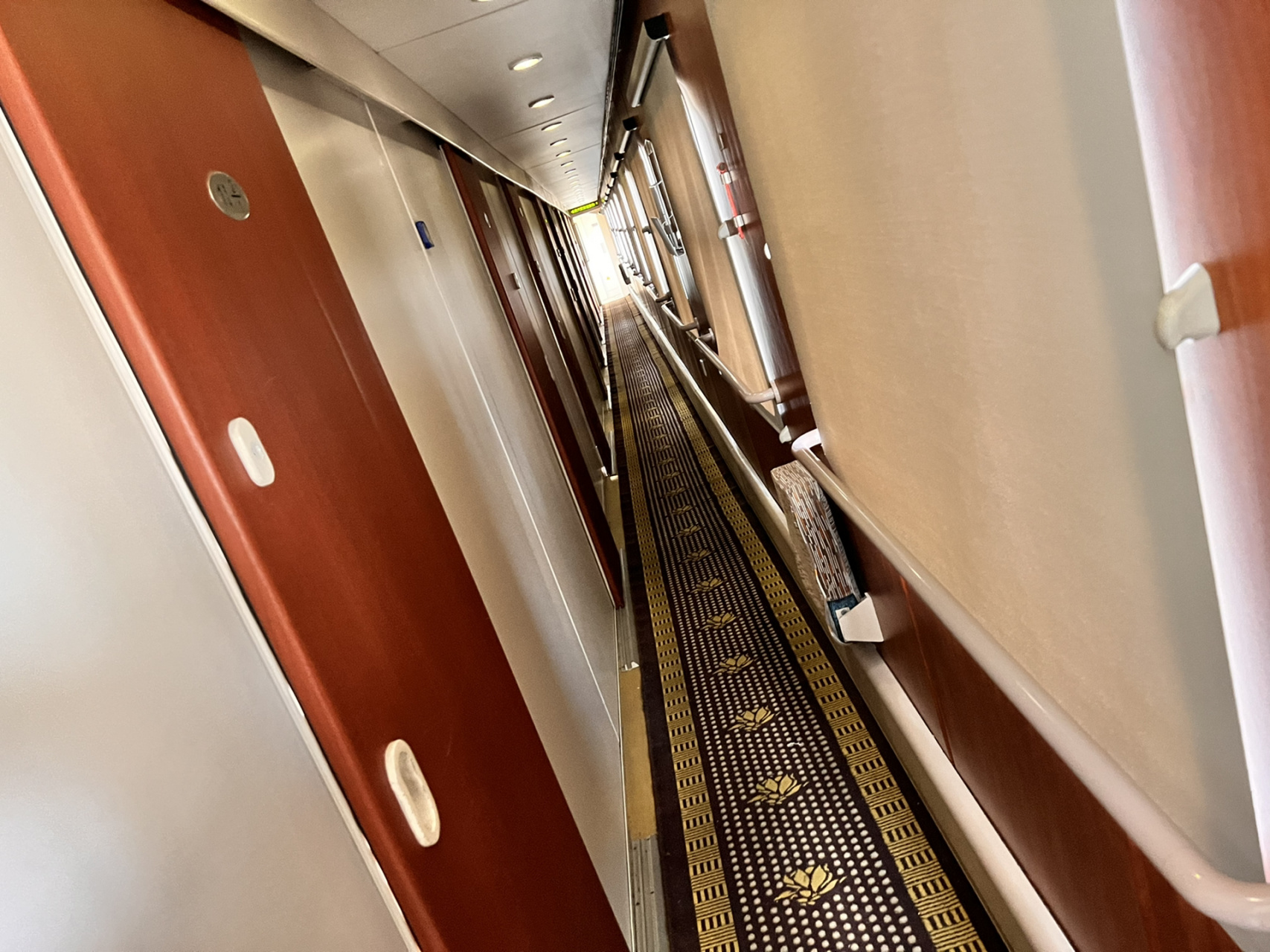 z176列车 杭州7915长春 好久没做过火车了 这次回国行李实在太多