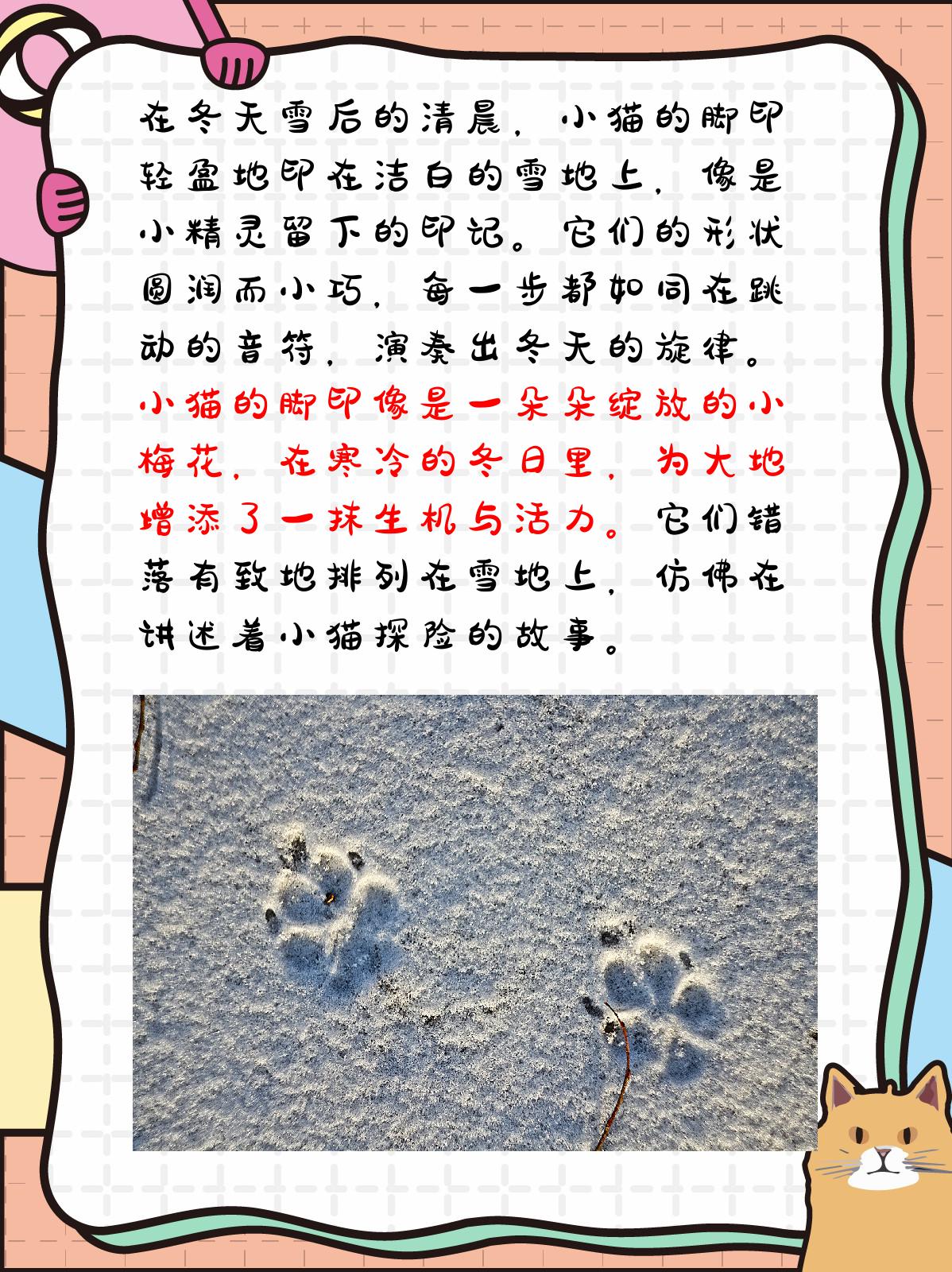 小猫的脚印像啥图片