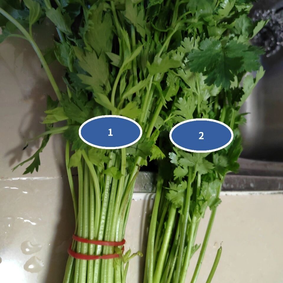 两个大冤种,芹菜认成香菜 芹菜和香菜怎么那么像两个大冤种,菜市场