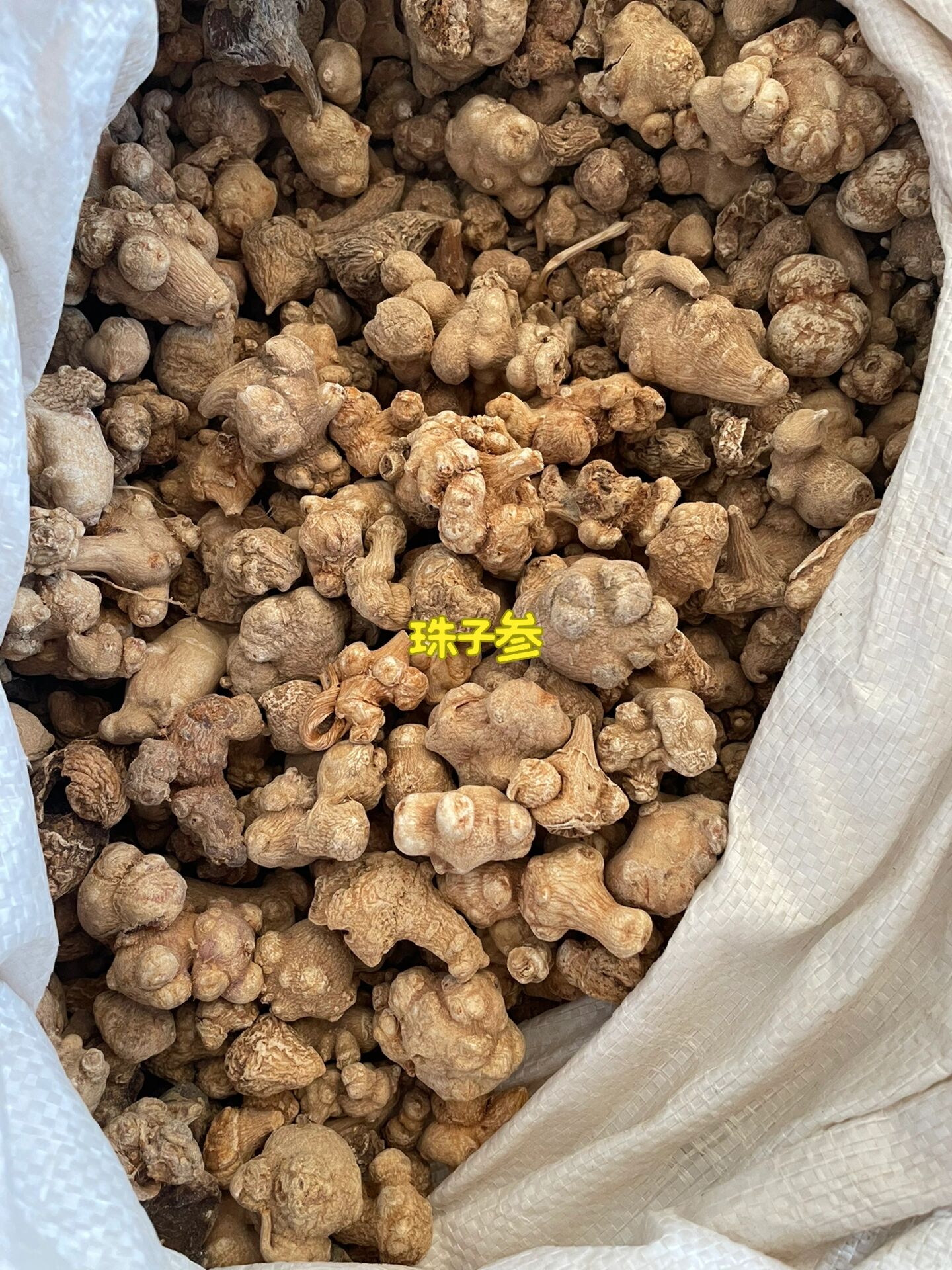 珠子参别名珠儿参,止血生肌,补肺虚.