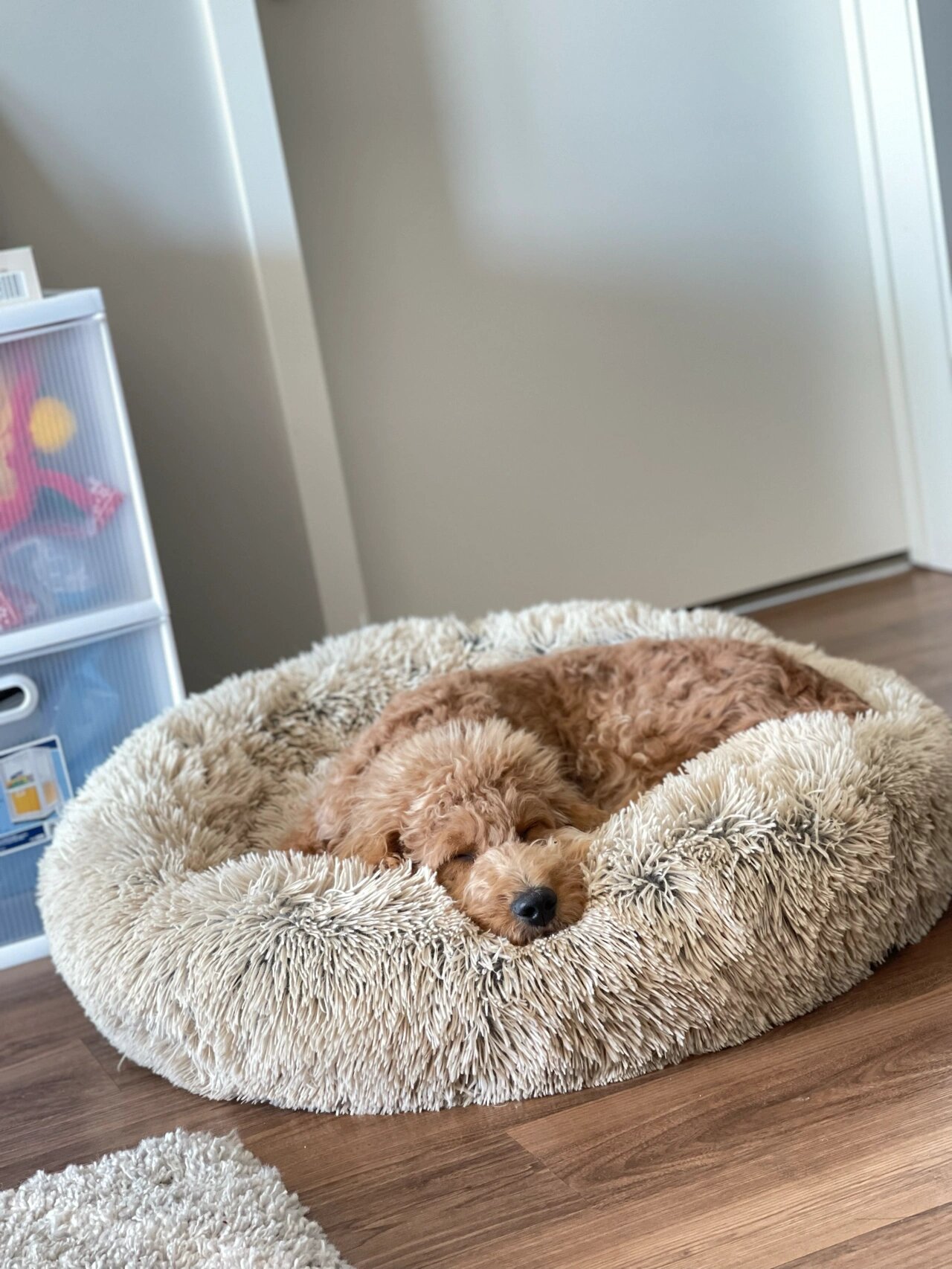 睡觉mo!花式睡姿!