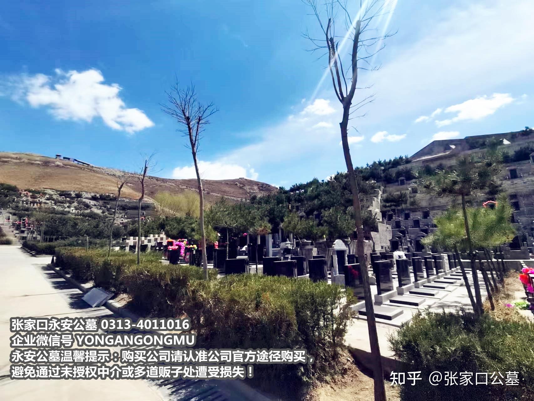 张家口西山公墓的照片