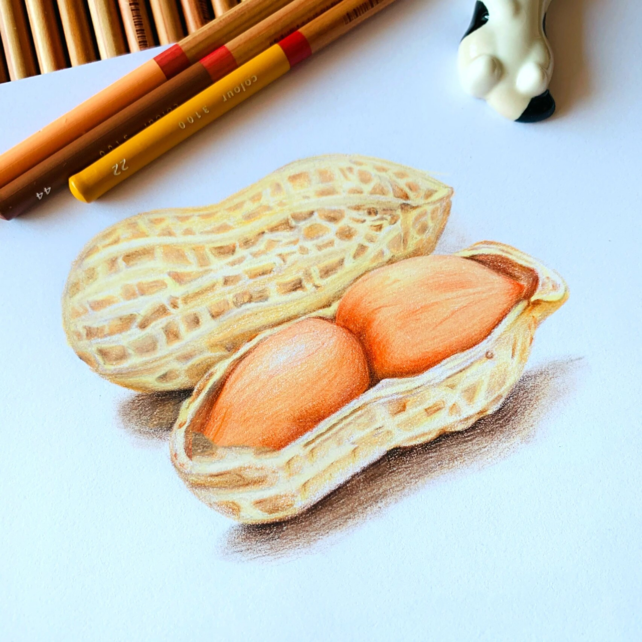 彩铅手绘|花生06 好事"花"生90