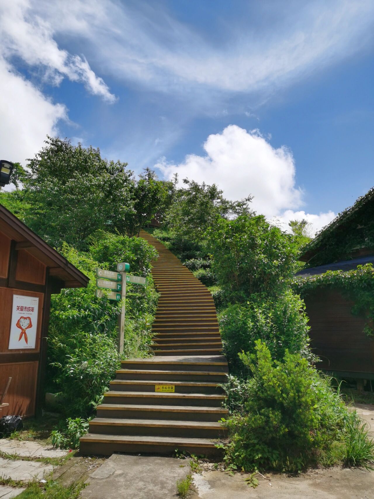 大田茶天下景区门票图片