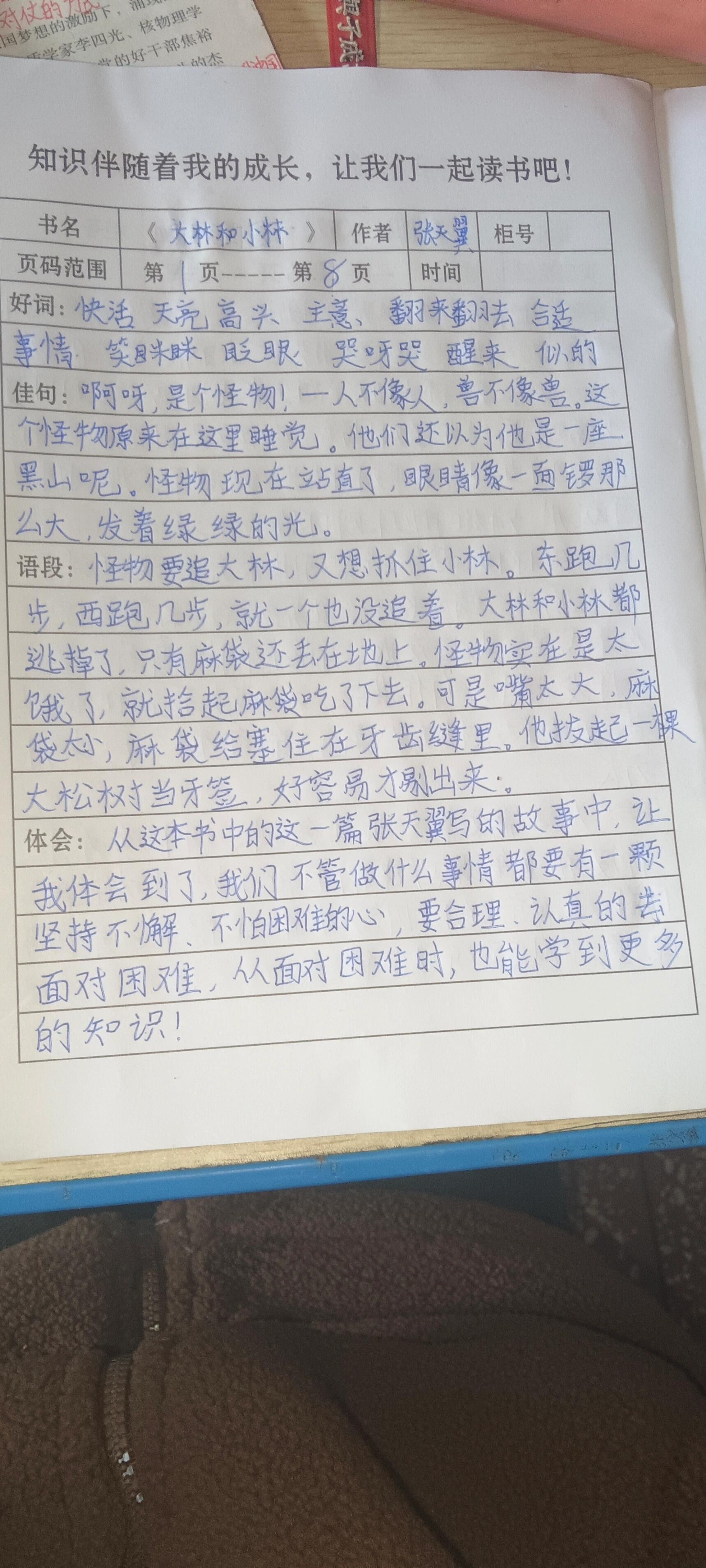 《大林和小林》第一篇文章的读书笔记