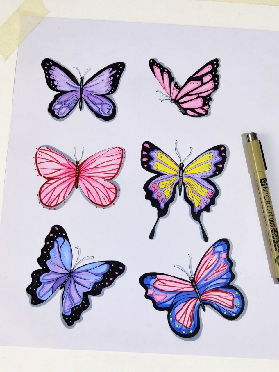 彩色蝴蝶03手绘插图//附细节图 -"喜欢一只蝴蝶不要去追它 去种花去