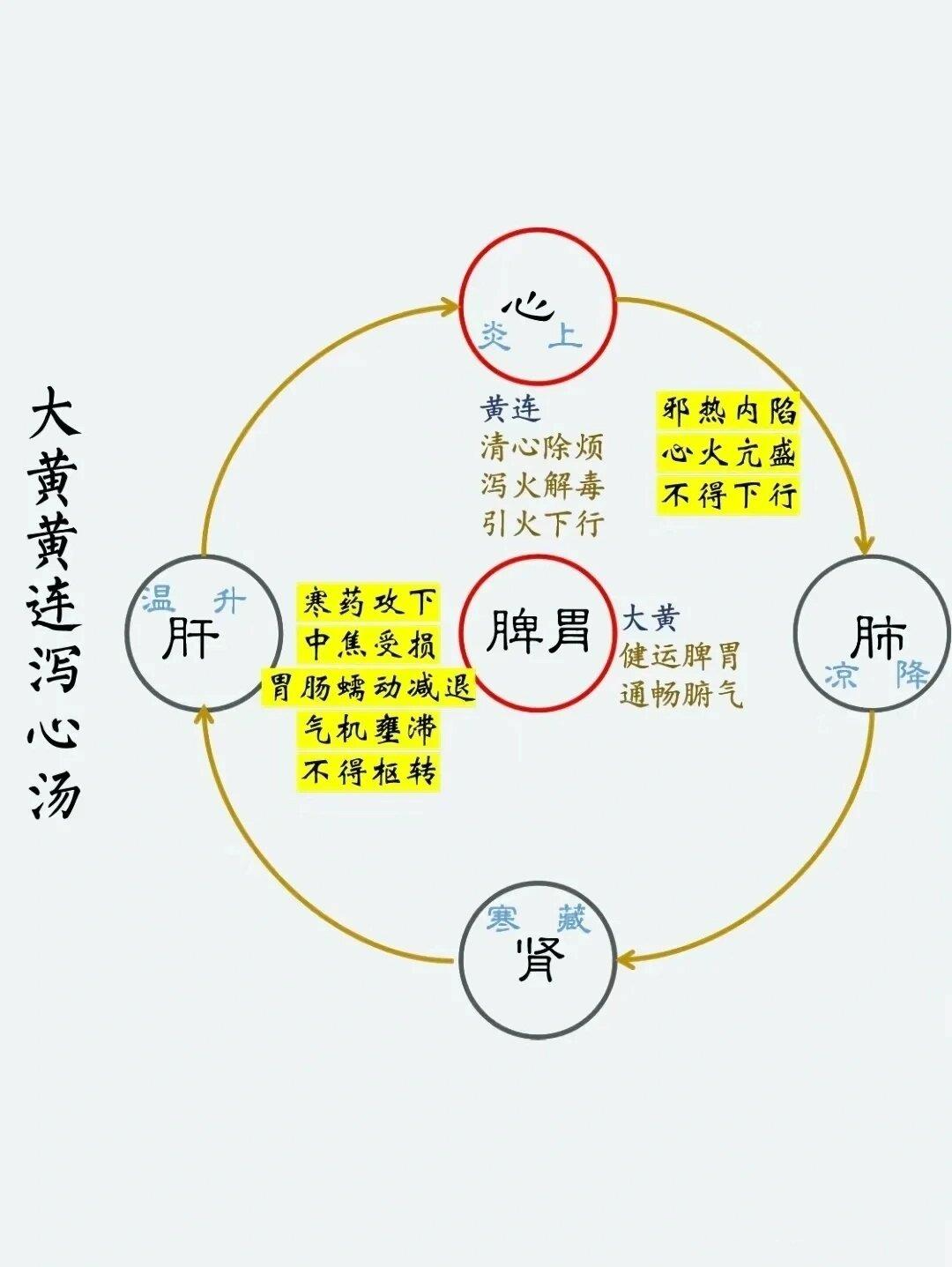 附子泻心汤图片