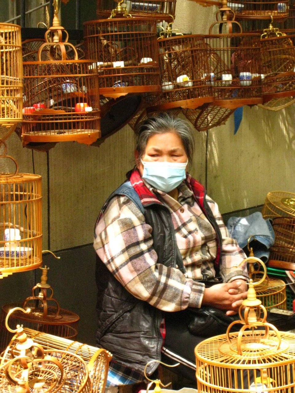 西安游玩|西仓花鸟市场, 藏于深巷的人间烟 在西安流传着这样一-句话