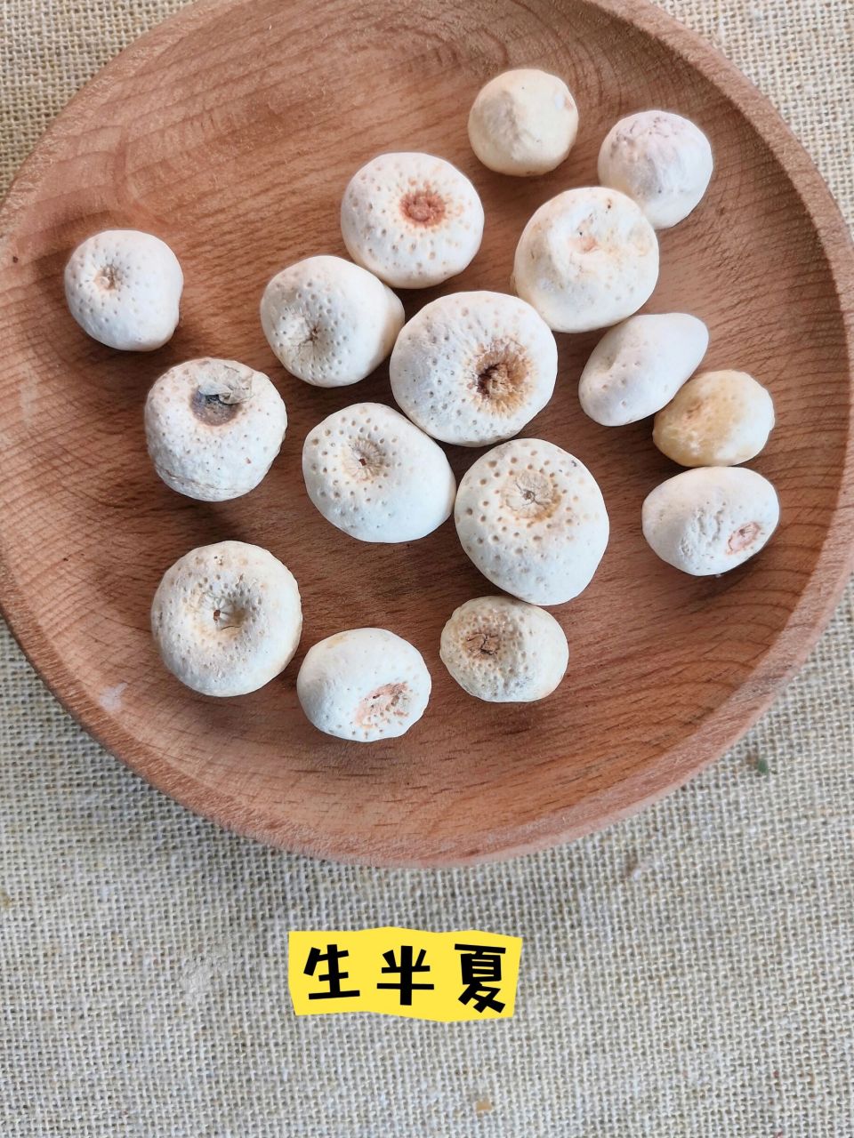 生半夏# #半夏
