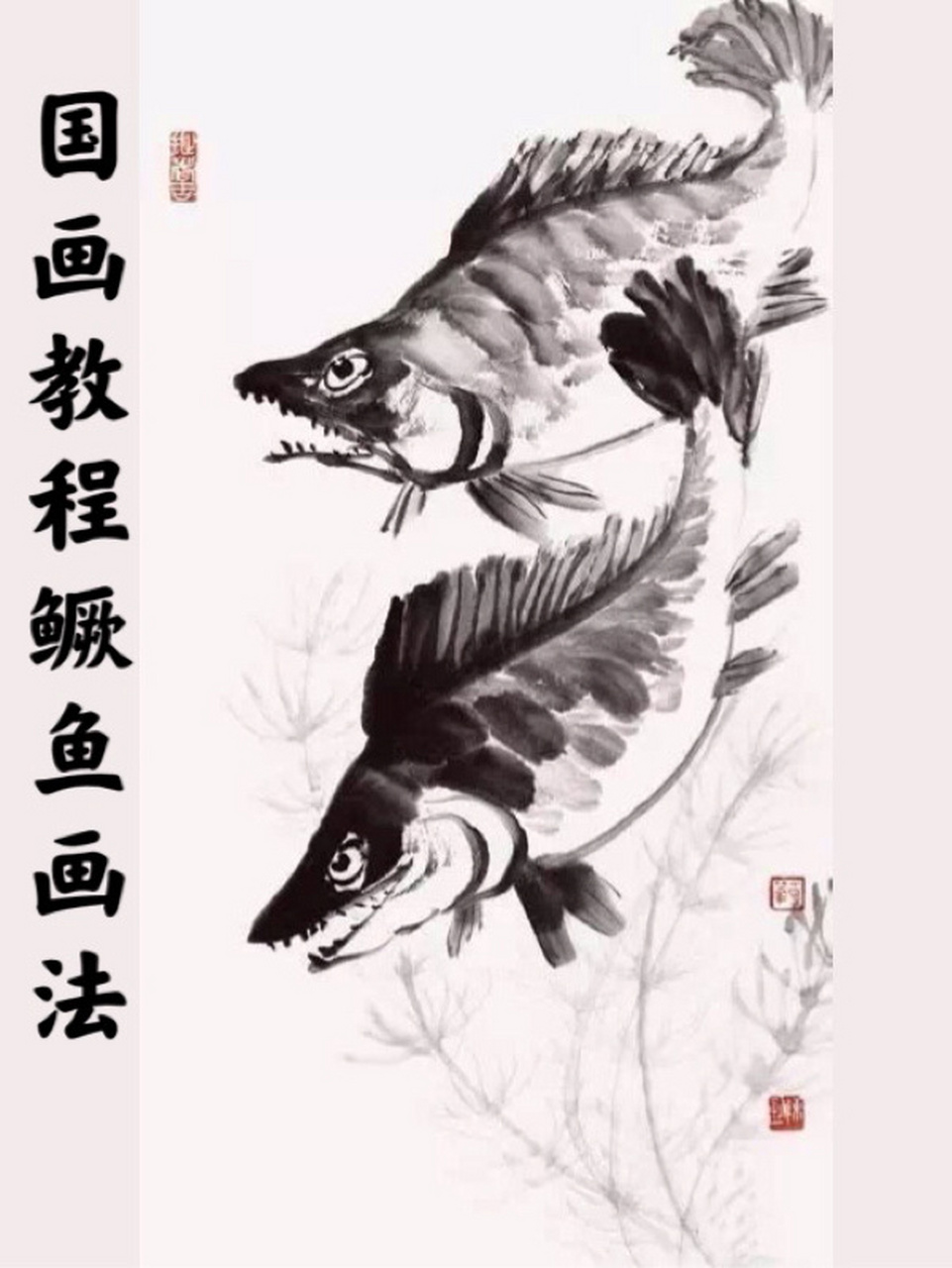 国画教程"鳜鱼"画法 1.