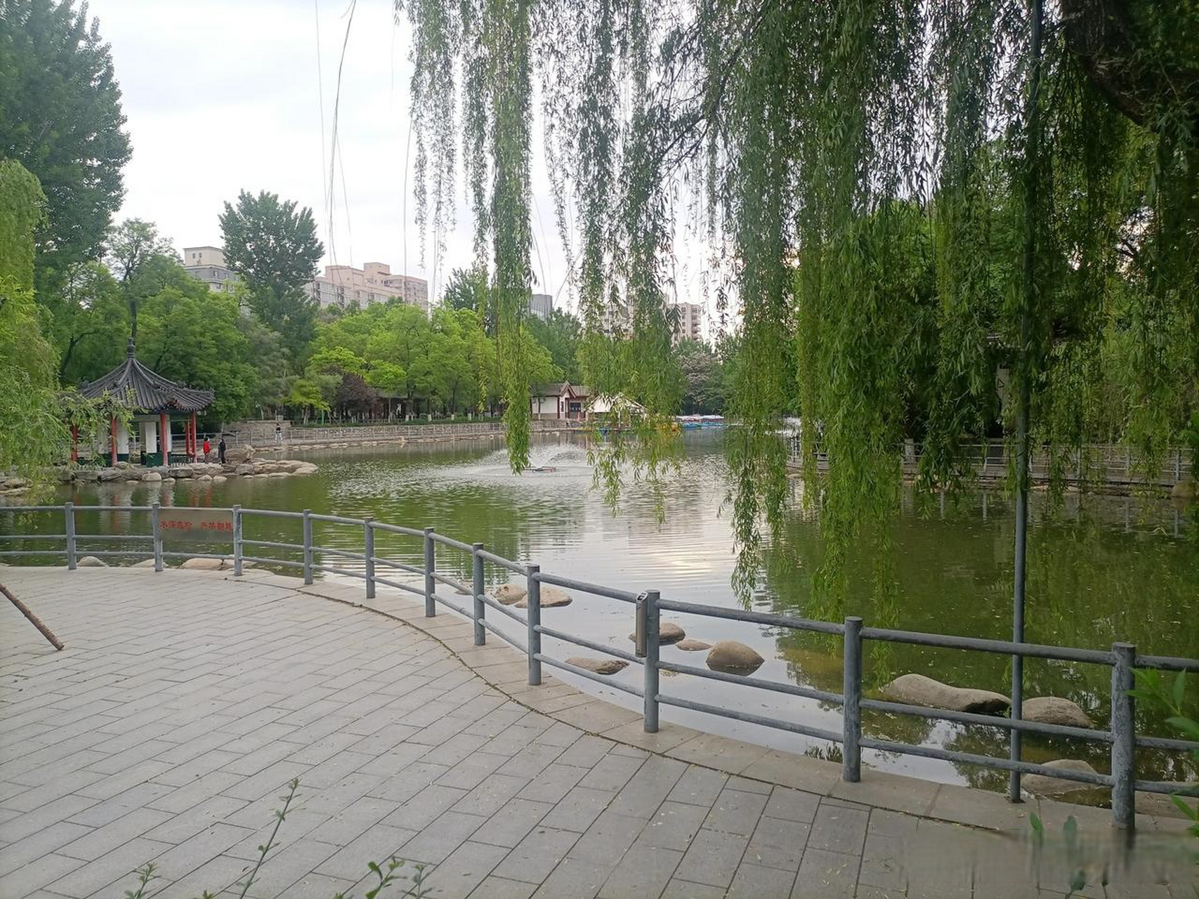 西安莲湖公园这地方风景还是挺不错的,公园不大,适合市民朋友晨练