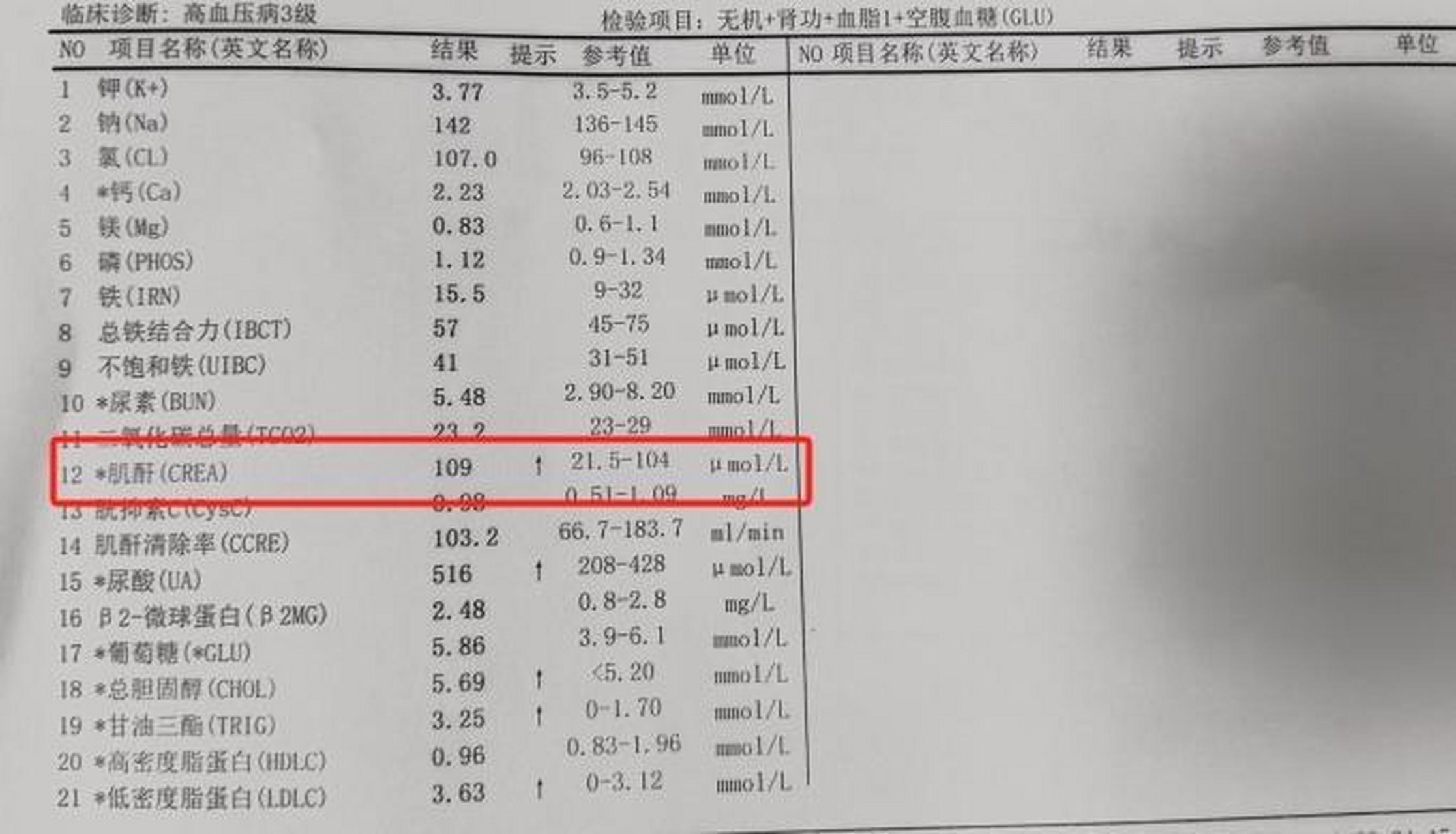 尿蛋白阳性图片