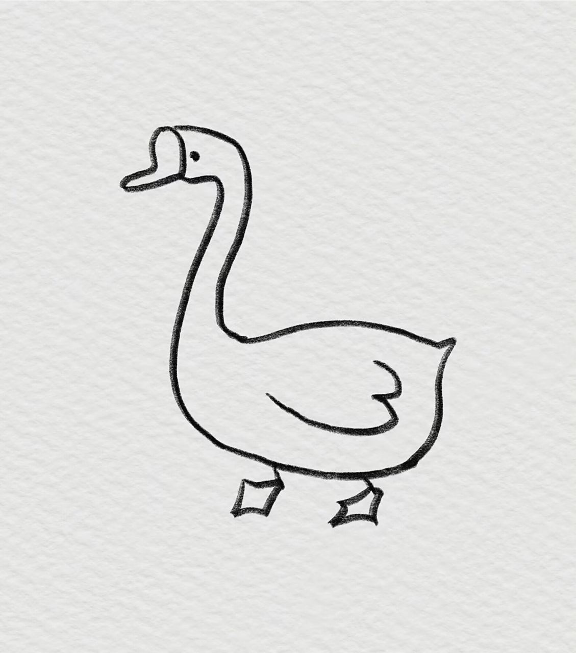 🌸简笔画|鹅鹅鹅曲项向天歌 画一组可爱的鹅 鹅, 鹅,鹅, 曲项向天歌