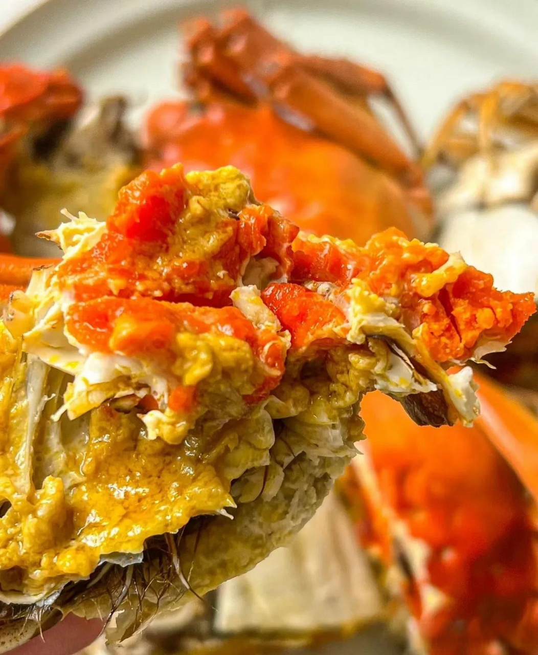 螃蟹挑选攻略—大闸蟹  1,看腹部 肚皮要白,当然不是雪白雪白的,尽量