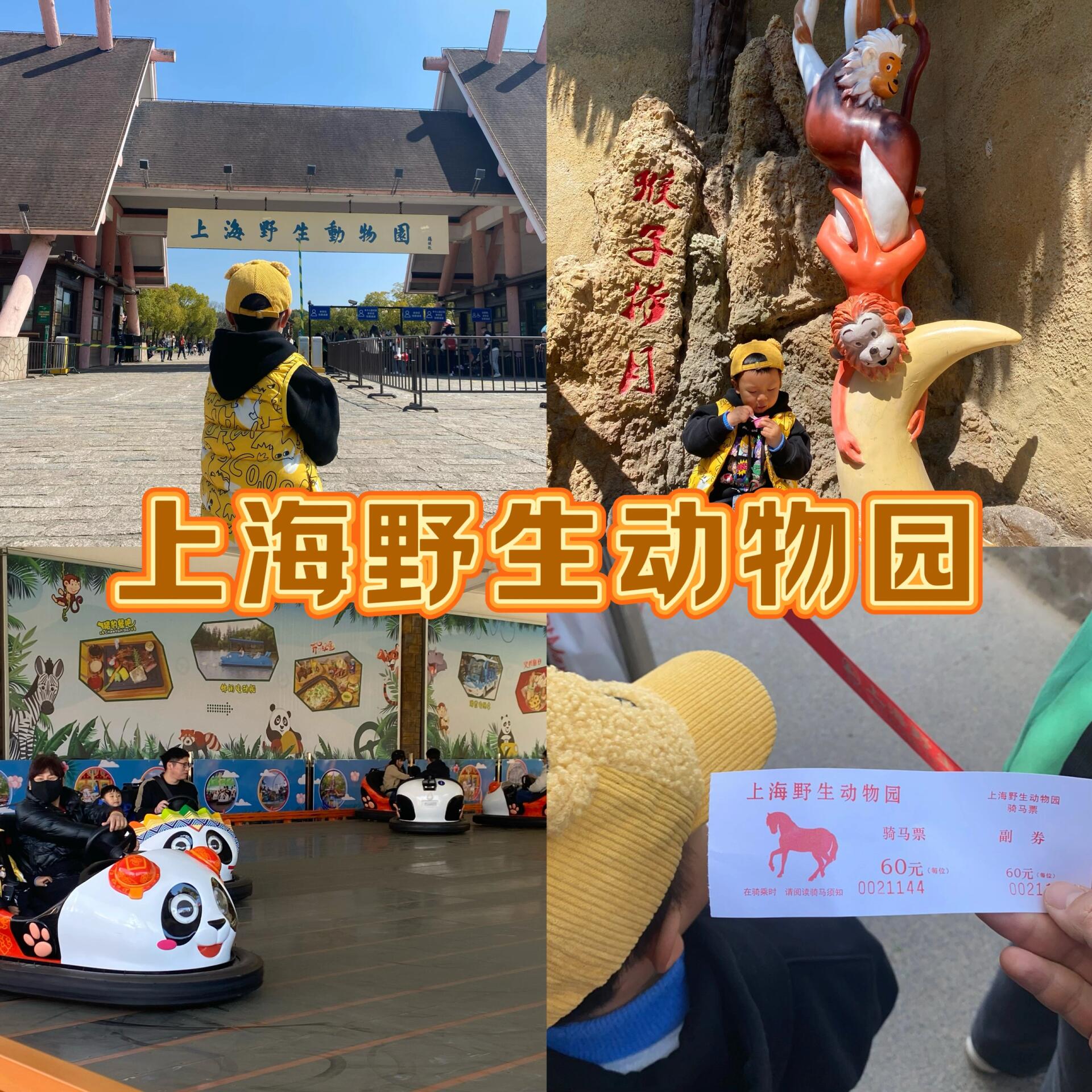 周末游|上海野生动物园