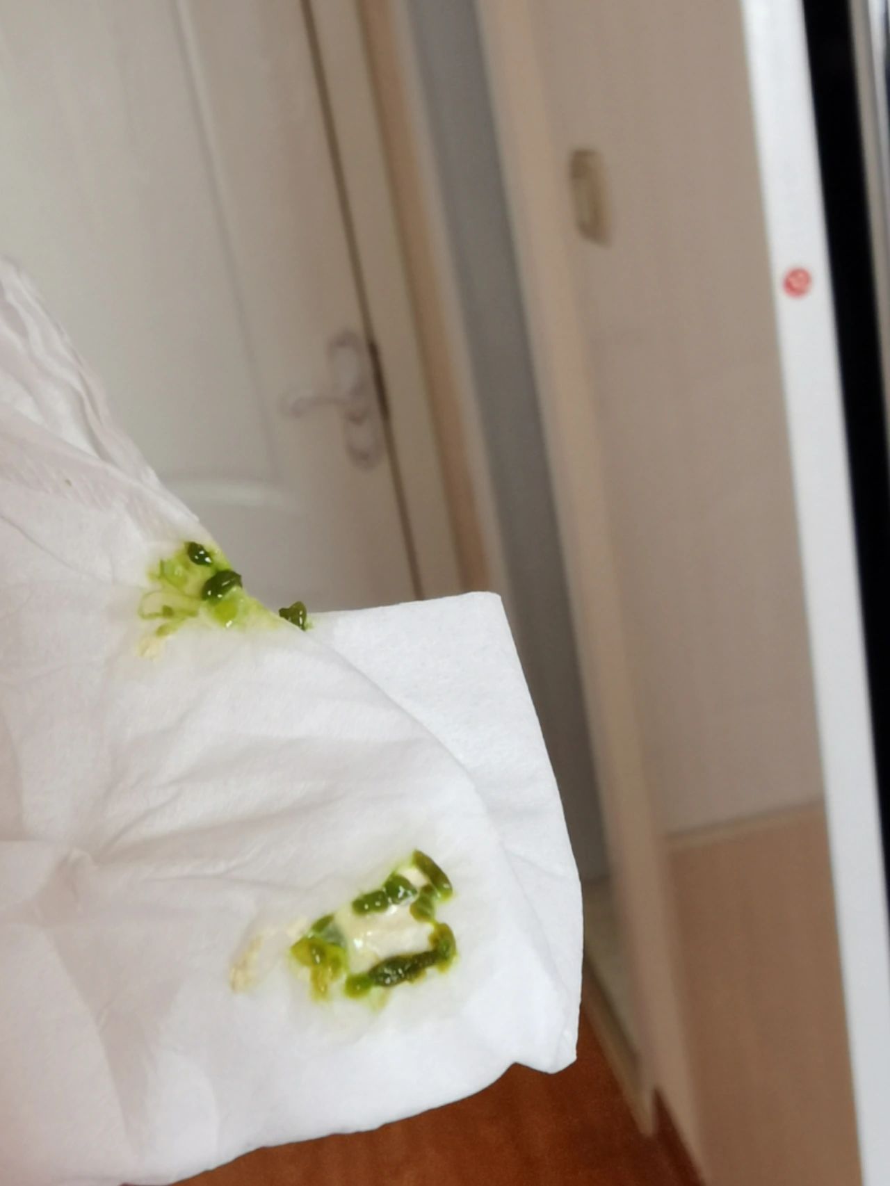 玄凤刚拉的粑粑,正常的吗?